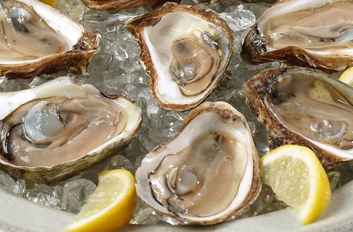 oysters on the half-shell