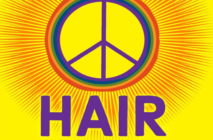 Image of marque for Hair