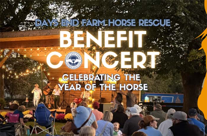 Image of people sitting in front of a stage with musicians on it. Day End Horse Rescue - Benefit Concert (Celebrating the year of the horse)