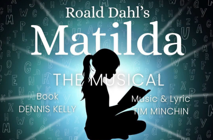 Image of Maltida the Musical marque poster